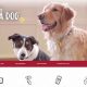 Best Dog Care Website: Tips & Resources | My Caring Dog – Tips, Stories, and Care Guides for Loving Pet Owners