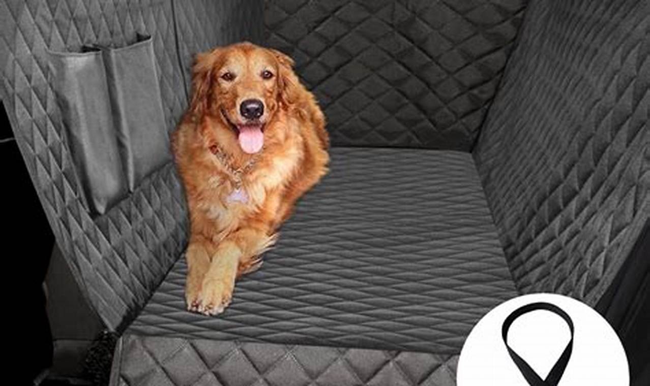 Best 4Knines Dog Car Seat Covers for Back Seat | My Caring Dog – Tips, Stories, and Care Guides for Loving Pet Owners