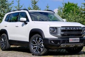 Big Dog Car | My Caring Dog – Tips, Stories, and Care Guides for Loving Pet Owners