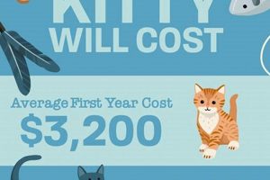 Cat vs. Dog: Which Pet Costs Less? My Caring Dog – Tips, Stories, and Care Guides for Loving Pet Owners Cat vs. Dog: Which Pet Costs Less? | My Caring Dog – Tips, Stories, and Care Guides for Loving Pet Owners