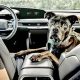 Best Cars with Dog Mode in 2024: Top Picks | My Caring Dog – Tips, Stories, and Care Guides for Loving Pet Owners
