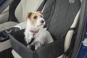 Top Dog Car Seat Materials: Ultimate Guide | My Caring Dog – Tips, Stories, and Care Guides for Loving Pet Owners