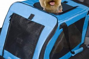 Best PetSmart Car Seats For Dogs: Top Picks | My Caring Dog – Tips, Stories, and Care Guides for Loving Pet Owners
