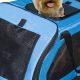 Best PetSmart Car Seats For Dogs: Top Picks | My Caring Dog – Tips, Stories, and Care Guides for Loving Pet Owners