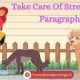 Take Care Of Street Dogs Paragraph | My Caring Dog – Tips, Stories, and Care Guides for Loving Pet Owners
