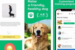 Service Dog Training Apps My Caring Dog – Tips, Stories, and Care Guides for Loving Pet Owners Service Dog Training Apps | My Caring Dog – Tips, Stories, and Care Guides for Loving Pet Owners