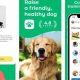 Service Dog Training Apps | My Caring Dog – Tips, Stories, and Care Guides for Loving Pet Owners