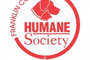 Best Car Dog Accessories: Humane Society of STL Guide My Caring Dog – Tips, Stories, and Care Guides for Loving Pet Owners Best Car Dog Accessories: Humane Society of STL Guide | My Caring Dog – Tips, Stories, and Care Guides for Loving Pet Owners