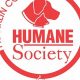 Best Car Dog Accessories: Humane Society of STL Guide | My Caring Dog – Tips, Stories, and Care Guides for Loving Pet Owners