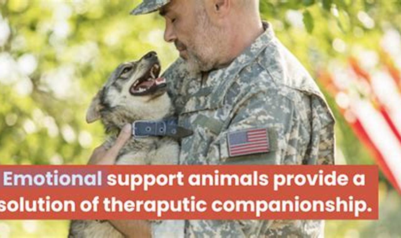 Find Free Emotional Support Dogs for Veterans My Caring Dog – Tips, Stories, and Care Guides for Loving Pet Owners Find Free Emotional Support Dogs for Veterans | My Caring Dog – Tips, Stories, and Care Guides for Loving Pet Owners