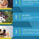 Car Dog Tips & Tricks for Safe Travels | My Caring Dog – Tips, Stories, and Care Guides for Loving Pet Owners