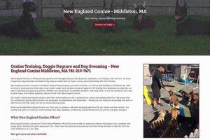 Top Canine Website Resources for Car Dog Lovers | My Caring Dog – Tips, Stories, and Care Guides for Loving Pet Owners