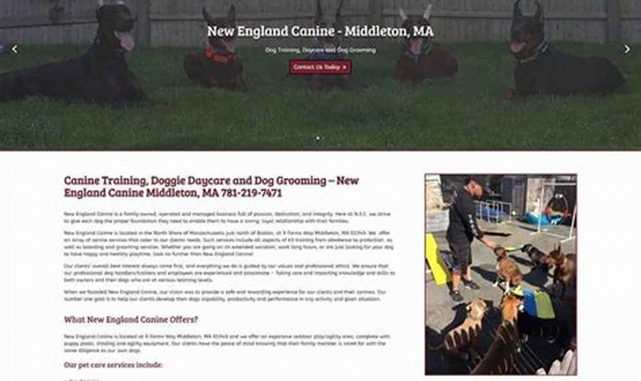 Top Canine Website Resources for Car Dog Lovers My Caring Dog – Tips, Stories, and Care Guides for Loving Pet Owners Top Canine Website Resources for Car Dog Lovers | My Caring Dog – Tips, Stories, and Care Guides for Loving Pet Owners