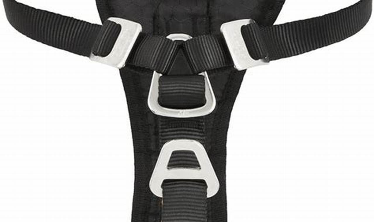Best Kurgo Tru-Fit Crash Tested Dog Harness My Caring Dog – Tips, Stories, and Care Guides for Loving Pet Owners Best Kurgo Tru-Fit Crash Tested Dog Harness | My Caring Dog – Tips, Stories, and Care Guides for Loving Pet Owners