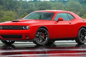 Cool Doge Cars: Wraps, Decals & More My Caring Dog – Tips, Stories, and Care Guides for Loving Pet Owners Cool Doge Cars: Wraps, Decals & More | My Caring Dog – Tips, Stories, and Care Guides for Loving Pet Owners