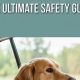 Dog Car Accidents: Yearly Fatalities &amp; Safety Tips | My Caring Dog – Tips, Stories, and Care Guides for Loving Pet Owners