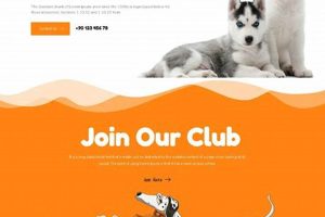 Best Websites About Dogs for Car Travel My Caring Dog – Tips, Stories, and Care Guides for Loving Pet Owners Best Websites About Dogs for Car Travel | My Caring Dog – Tips, Stories, and Care Guides for Loving Pet Owners