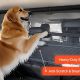 Dog Car Barrier | My Caring Dog – Tips, Stories, and Care Guides for Loving Pet Owners