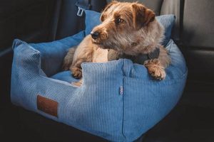 Isofix Dog Car Seat Reviews | My Caring Dog – Tips, Stories, and Care Guides for Loving Pet Owners