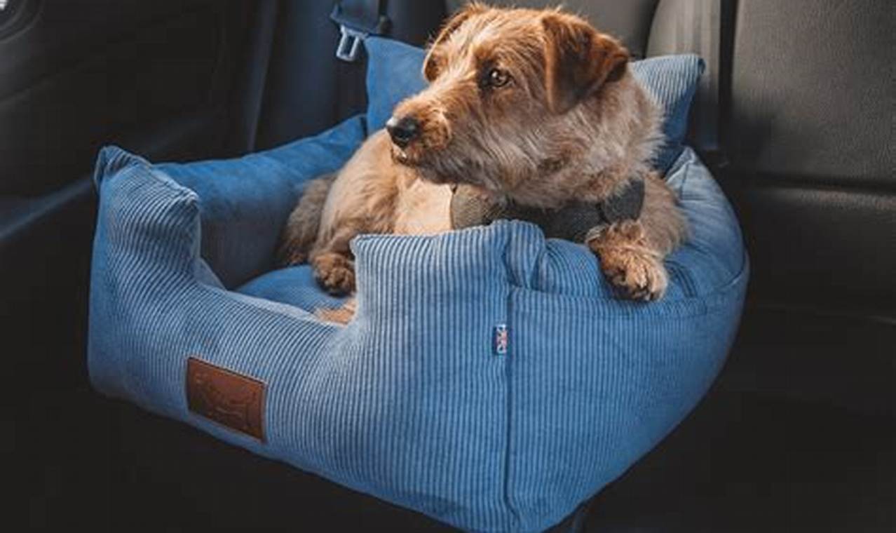 Isofix Dog Car Seat Reviews My Caring Dog – Tips, Stories, and Care Guides for Loving Pet Owners Isofix Dog Car Seat Reviews | My Caring Dog – Tips, Stories, and Care Guides for Loving Pet Owners