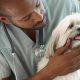 Essential Pet Care Tips for Dogs: A Guide | My Caring Dog – Tips, Stories, and Care Guides for Loving Pet Owners