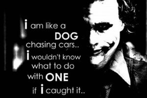 Joker Dog Chasing Cars My Caring Dog – Tips, Stories, and Care Guides for Loving Pet Owners Joker Dog Chasing Cars | My Caring Dog – Tips, Stories, and Care Guides for Loving Pet Owners