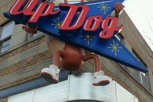 Building Up Dog Independence for Car Travel My Caring Dog – Tips, Stories, and Care Guides for Loving Pet Owners Building Up Dog Independence for Car Travel | My Caring Dog – Tips, Stories, and Care Guides for Loving Pet Owners