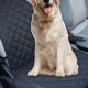 Best Car Front Seat Covers For Dogs: Ultimate Guide | My Caring Dog – Tips, Stories, and Care Guides for Loving Pet Owners