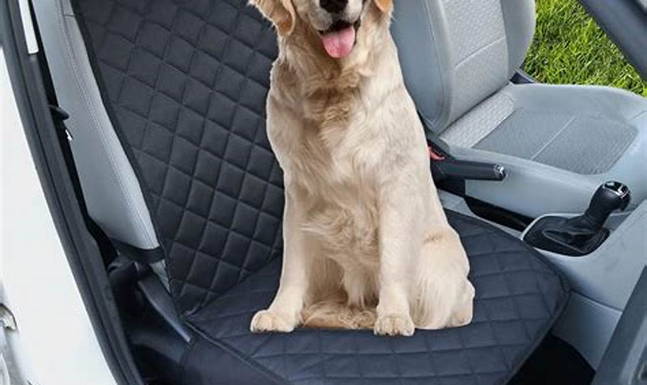 Best Car Front Seat Covers For Dogs: Ultimate Guide My Caring Dog – Tips, Stories, and Care Guides for Loving Pet Owners Best Car Front Seat Covers For Dogs: Ultimate Guide | My Caring Dog – Tips, Stories, and Care Guides for Loving Pet Owners