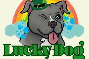 Top-Notch Lucky Dog Pet Care Services My Caring Dog – Tips, Stories, and Care Guides for Loving Pet Owners Top-Notch Lucky Dog Pet Care Services | My Caring Dog – Tips, Stories, and Care Guides for Loving Pet Owners