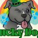 Top-Notch Lucky Dog Pet Care Services | My Caring Dog – Tips, Stories, and Care Guides for Loving Pet Owners