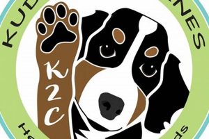 The Ultimate Guide to Kudos for Canines in Cars | My Caring Dog – Tips, Stories, and Care Guides for Loving Pet Owners