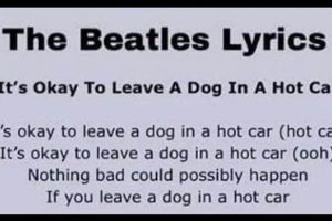 Never Leave a Beatles Dog in a Hot Car: A Cautionary Tale My Caring Dog – Tips, Stories, and Care Guides for Loving Pet Owners Never Leave a Beatles Dog in a Hot Car: A Cautionary Tale | My Caring Dog – Tips, Stories, and Care Guides for Loving Pet Owners