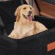 Best Dog Car Seats for Large Breeds: Safe & Secure | My Caring Dog – Tips, Stories, and Care Guides for Loving Pet Owners