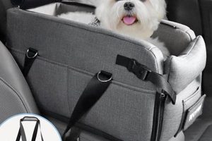 Dog Car Accessories | My Caring Dog – Tips, Stories, and Care Guides for Loving Pet Owners