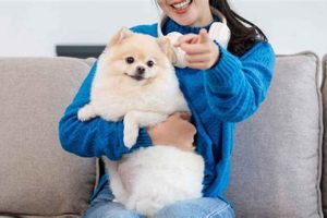 Companion Puppy | My Caring Dog – Tips, Stories, and Care Guides for Loving Pet Owners