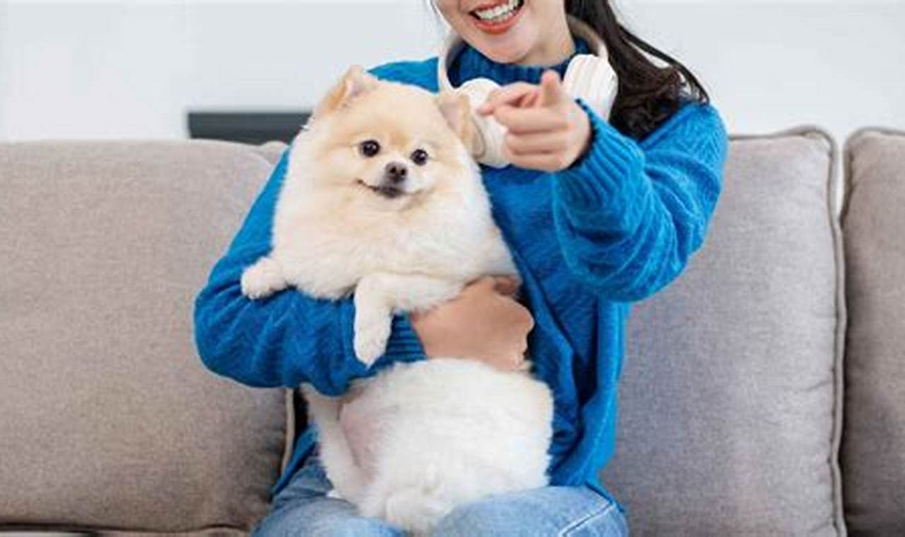 Companion Puppy My Caring Dog – Tips, Stories, and Care Guides for Loving Pet Owners Companion Puppy | My Caring Dog – Tips, Stories, and Care Guides for Loving Pet Owners