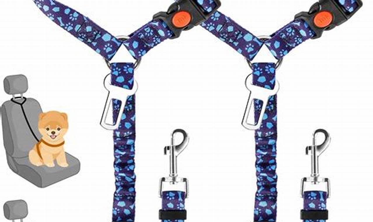 Best Dog Car Seat Belts: Safe & Secure My Caring Dog – Tips, Stories, and Care Guides for Loving Pet Owners Best Dog Car Seat Belts: Safe & Secure | My Caring Dog – Tips, Stories, and Care Guides for Loving Pet Owners