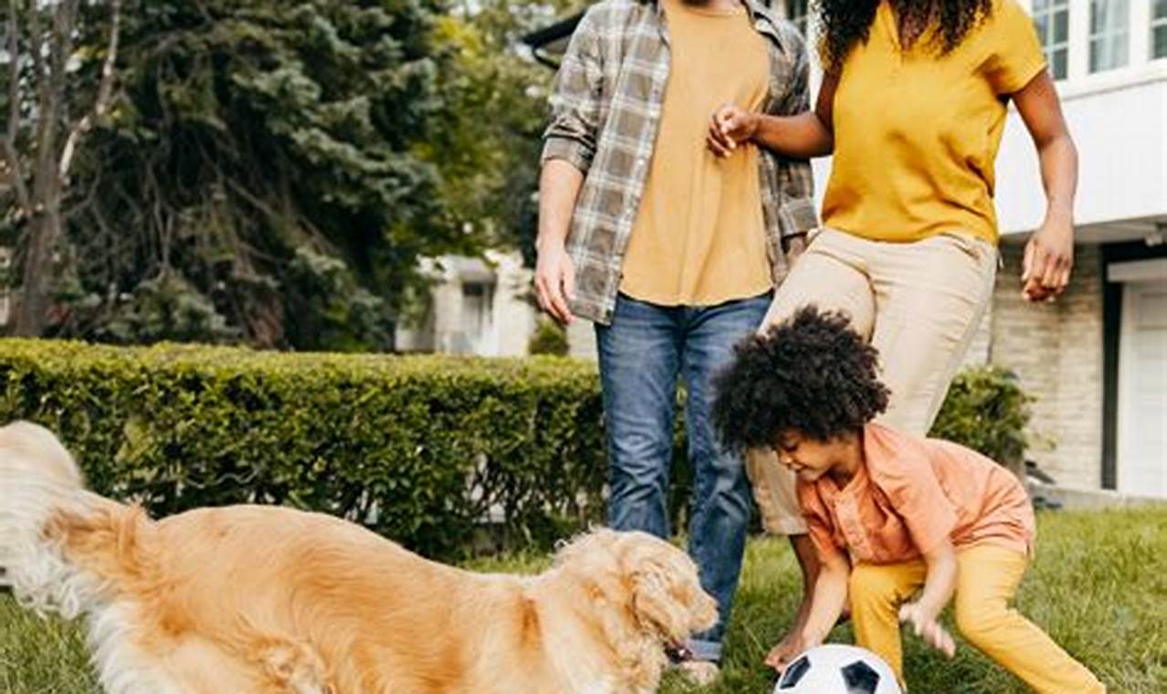 Best Dogs for Car Owners & Road Trips My Caring Dog – Tips, Stories, and Care Guides for Loving Pet Owners Best Dogs for Car Owners & Road Trips | My Caring Dog – Tips, Stories, and Care Guides for Loving Pet Owners