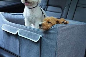Best Car Seats for 2 Small Dogs: Safe & Comfy | My Caring Dog – Tips, Stories, and Care Guides for Loving Pet Owners