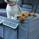 Best Car Seats for 2 Small Dogs: Safe & Comfy | My Caring Dog – Tips, Stories, and Care Guides for Loving Pet Owners