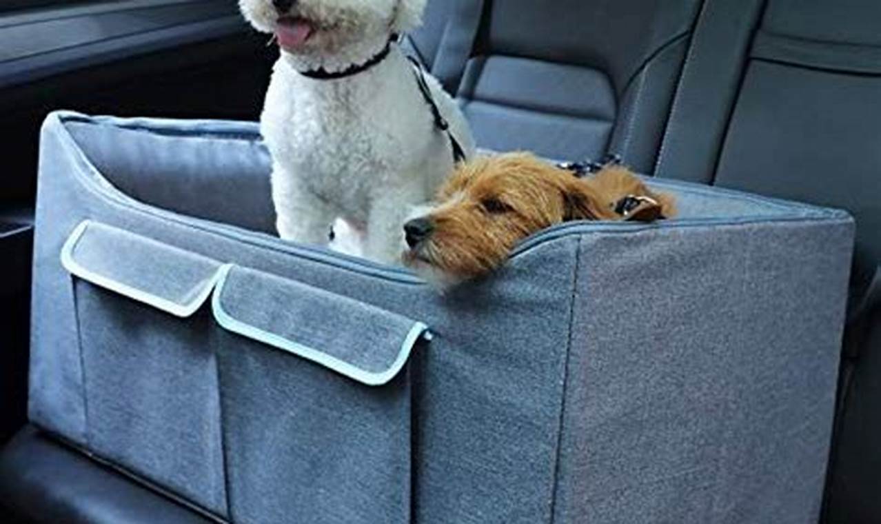 Best Car Seats for 2 Small Dogs: Safe & Comfy My Caring Dog – Tips, Stories, and Care Guides for Loving Pet Owners Best Car Seats for 2 Small Dogs: Safe & Comfy | My Caring Dog – Tips, Stories, and Care Guides for Loving Pet Owners