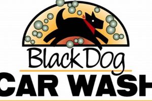 The Black Dog Car Wash: Pristine Auto Detailing | My Caring Dog – Tips, Stories, and Care Guides for Loving Pet Owners