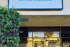 Best Dog Daycare & Loving Care in Windsor, NJ My Caring Dog – Tips, Stories, and Care Guides for Loving Pet Owners Best Dog Daycare & Loving Care in Windsor, NJ | My Caring Dog – Tips, Stories, and Care Guides for Loving Pet Owners