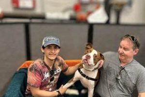 Best Animal Shelters in Morton Grove, IL | Adopt My Caring Dog – Tips, Stories, and Care Guides for Loving Pet Owners Best Animal Shelters in Morton Grove, IL | Adopt | My Caring Dog – Tips, Stories, and Care Guides for Loving Pet Owners