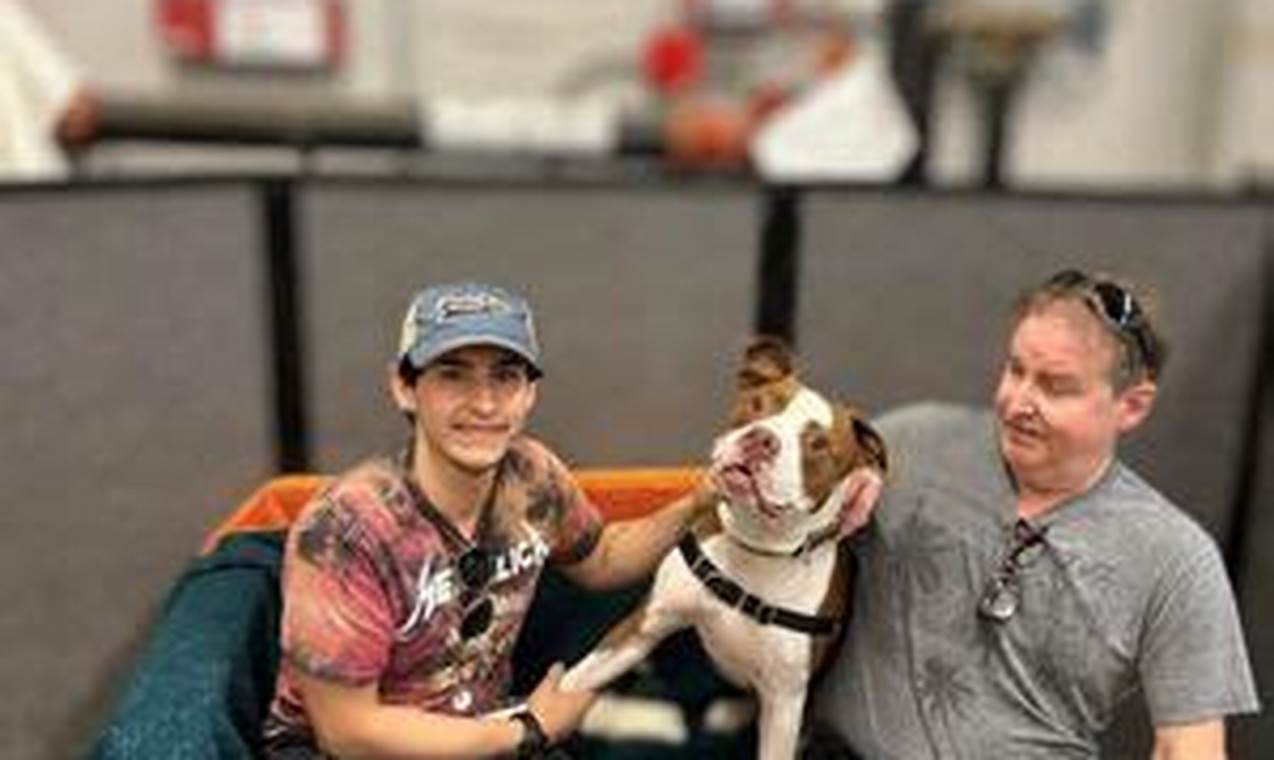 Best Animal Shelters in Morton Grove, IL | Adopt My Caring Dog – Tips, Stories, and Care Guides for Loving Pet Owners Best Animal Shelters in Morton Grove, IL | Adopt | My Caring Dog – Tips, Stories, and Care Guides for Loving Pet Owners