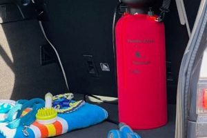 Mobile Car Dog Washer Service Near You My Caring Dog – Tips, Stories, and Care Guides for Loving Pet Owners Mobile Car Dog Washer Service Near You | My Caring Dog – Tips, Stories, and Care Guides for Loving Pet Owners