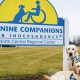 Top Canine Companions New Albany: A Guide | My Caring Dog – Tips, Stories, and Care Guides for Loving Pet Owners