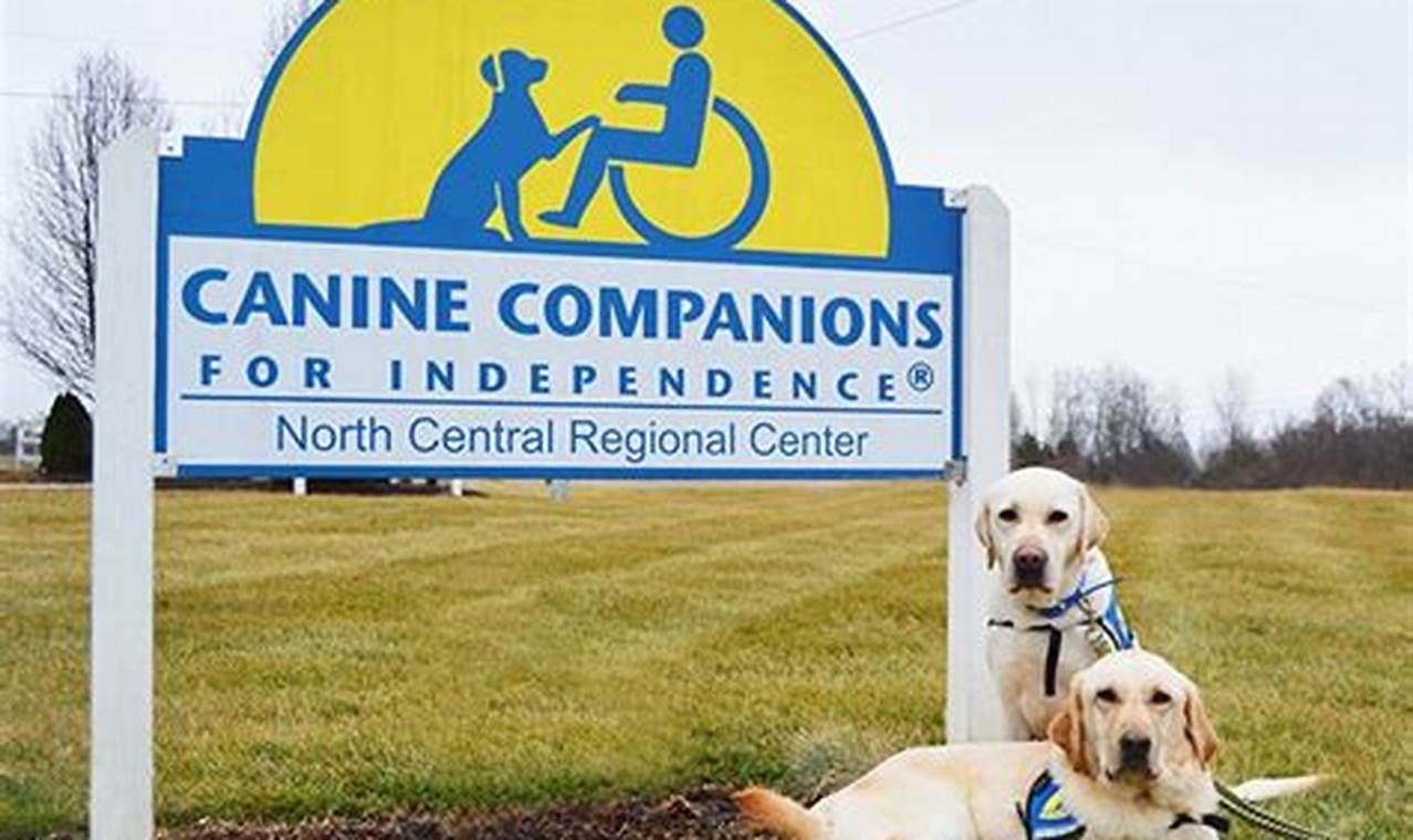 Top Canine Companions New Albany: A Guide | My Caring Dog – Tips, Stories, and Care Guides for Loving Pet Owners