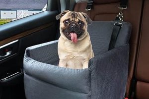 Car Seat Dog Bed Bucket My Caring Dog – Tips, Stories, and Care Guides for Loving Pet Owners Car Seat Dog Bed Bucket | My Caring Dog – Tips, Stories, and Care Guides for Loving Pet Owners